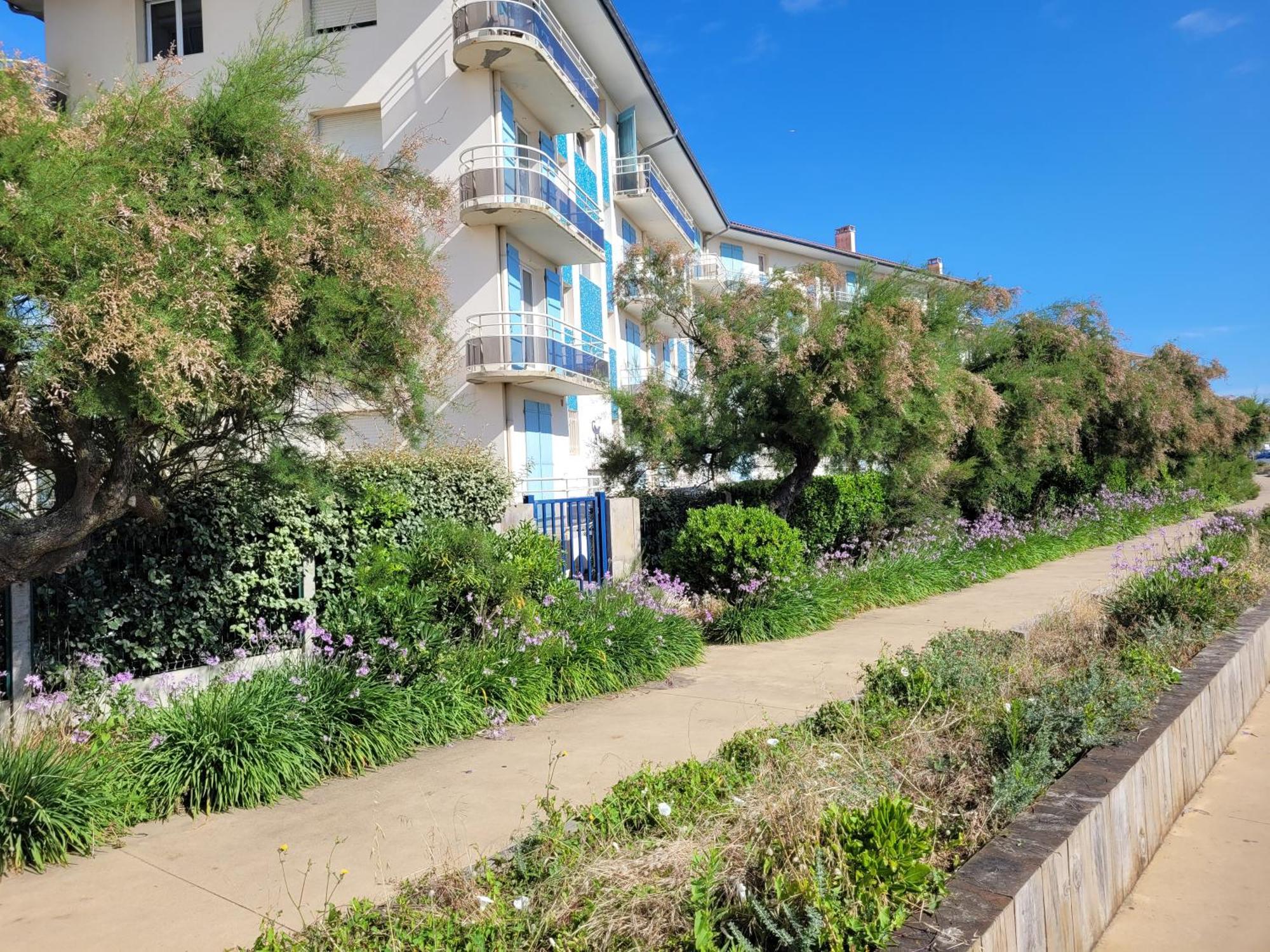 Sable - Appartement Renove Pour 4 Personnes Soorts-Hossegor Exteriér fotografie